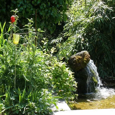 Relax & Vitalhotel Adler 호텔