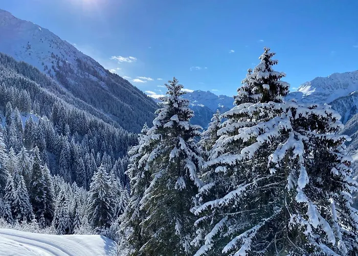 Relax & Vitalhotel Adler