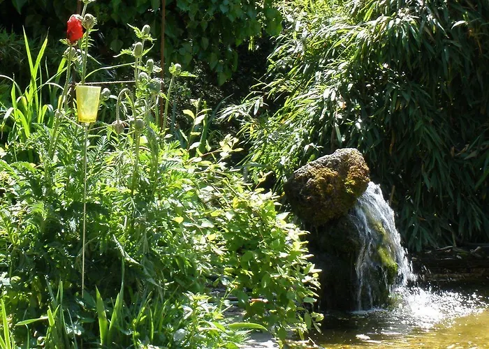 Relax & Vitalhotel Adler Hotel